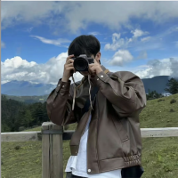 Heimao NPV for China Ryan Profile